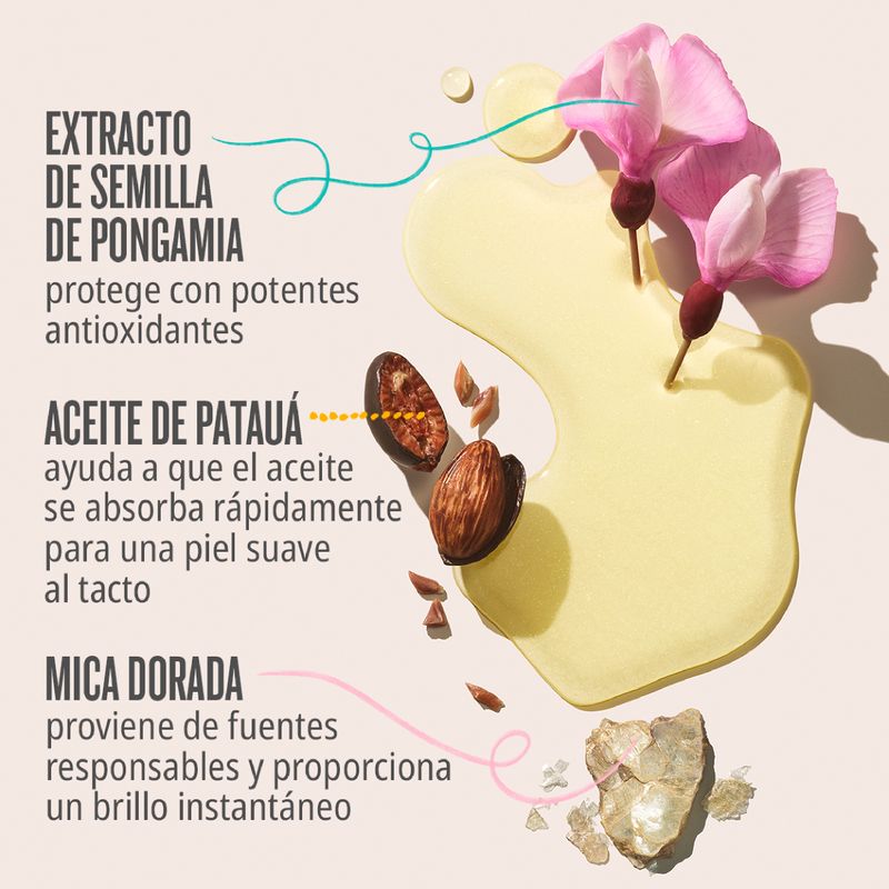 4-Ingredients_