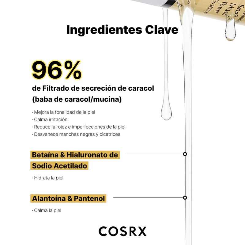 Diapositiva7