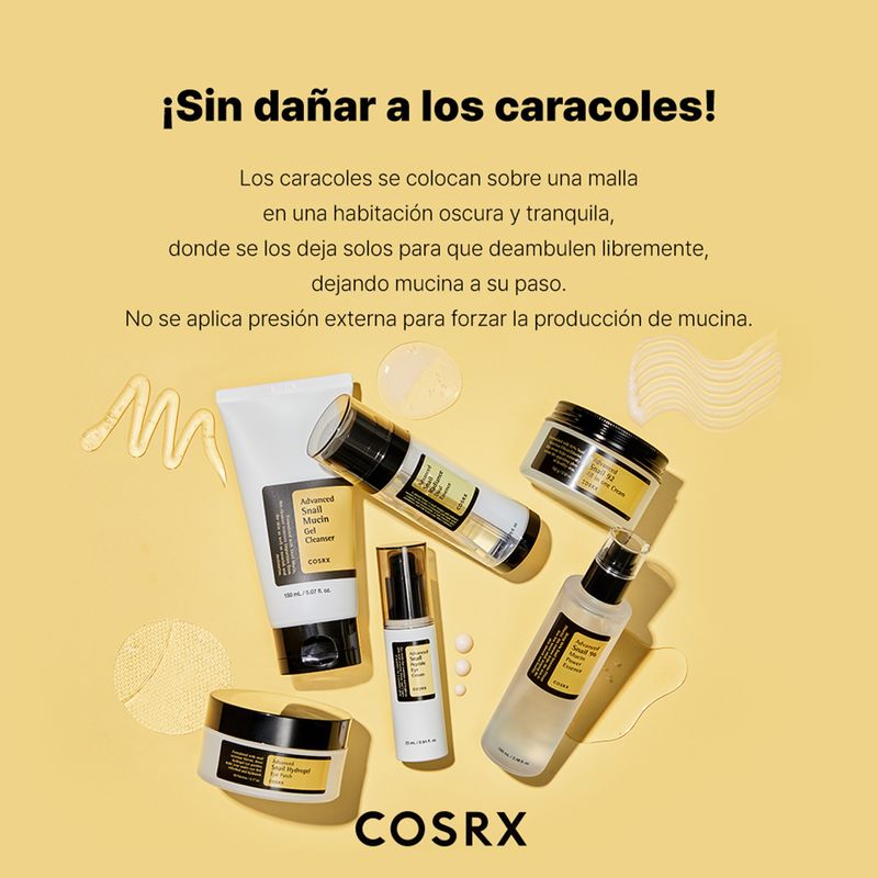 Diapositiva12
