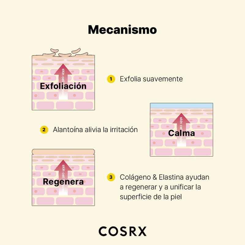 Diapositiva13