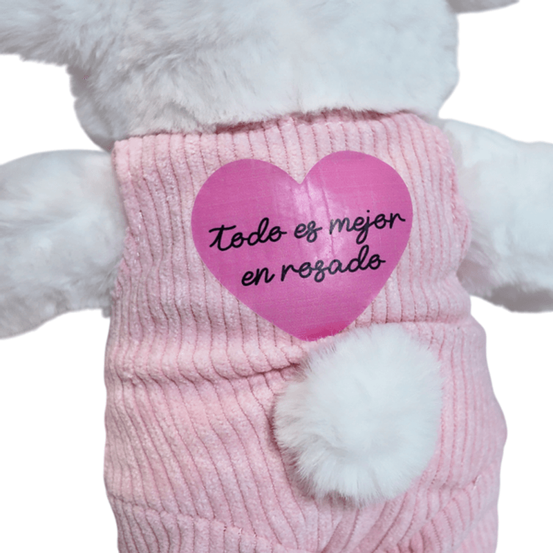 CONEJA-3.png