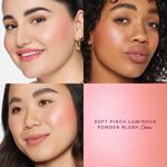 Rubor-Soft-Pinch-Luminous-Powder-Blush---Cheer_2