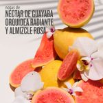 Diapositiva3