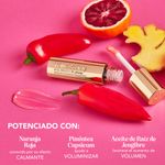 Diapositiva6